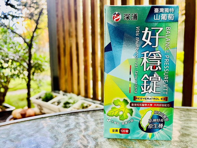 試用